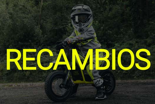 RECAMBIOS_TRIUMPH_TXP