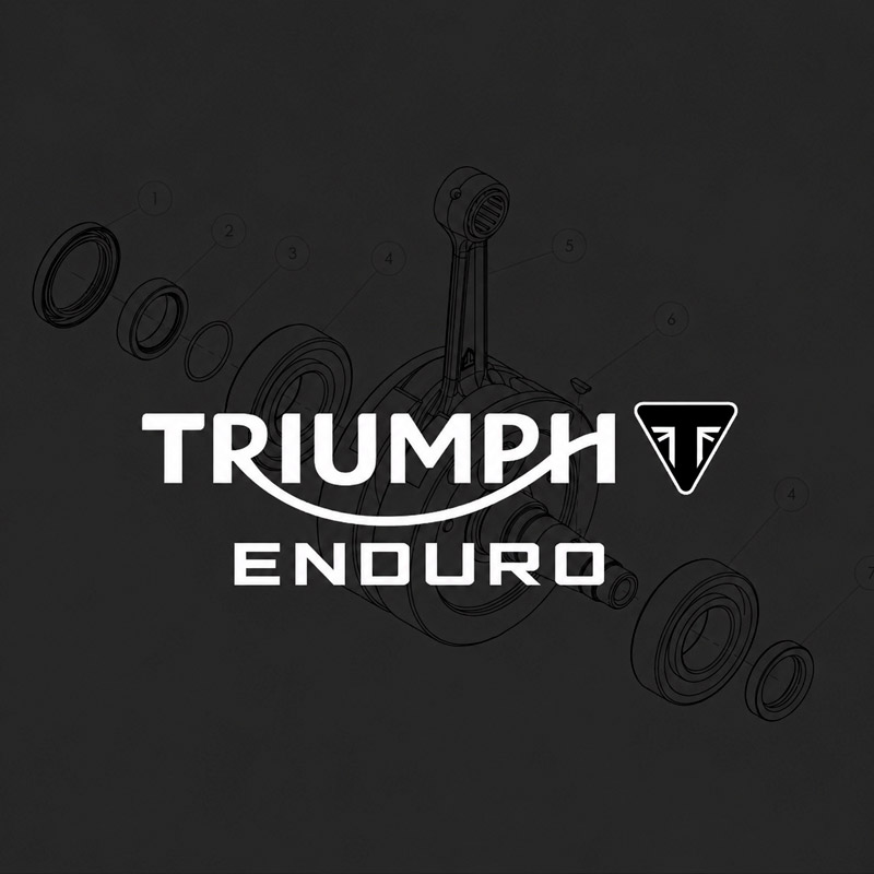 RECAMBIOS_TRIUMPH_ENDURO