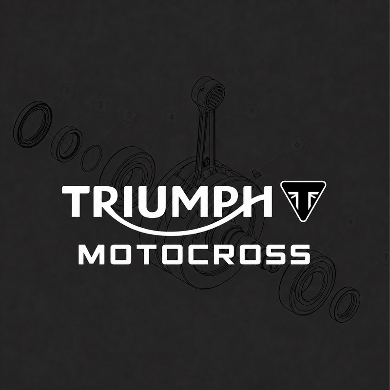 RECAMBIOS_TRIUMPH_MOTOCROSS