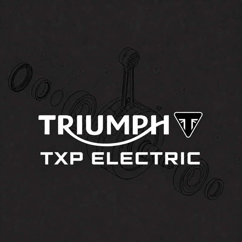 RECAMBIOS_TRIUMPH_TXP